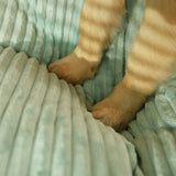 Orthopedic Dog Bed with Memory Foam Support and Washable Cover