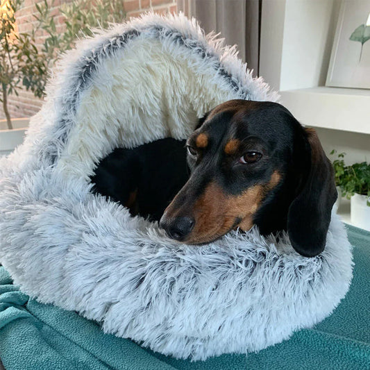 Enclosed Orthopedic Dog Cave Bed –  With Joint Support for Small Dogs
