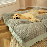 Orthopedic Dog Bed with Memory Foam Support and Washable Cover