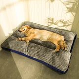 Orthopedic Dog Bed with Memory Foam Support and Washable Cover