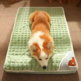 Orthopedic Dog Sleeping Pillow with Removable Washable Cover