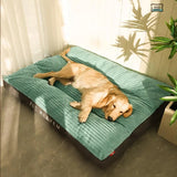 Orthopedic Dog Bed with Memory Foam Support and Washable Cover