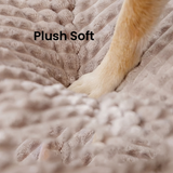 Orthopedic Dog Bed with Super Soft Washable Cover for Ultimate Joint Support