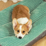 Orthopedic Dog Bed with Memory Foam Support and Washable Cover